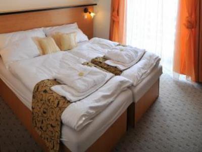 Hotel Manes Svratka Eksteriør bilde
